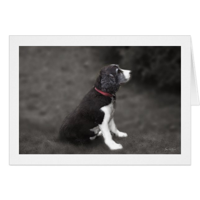 Retrato de Mabel no 1 (Anverso (Horizontal))