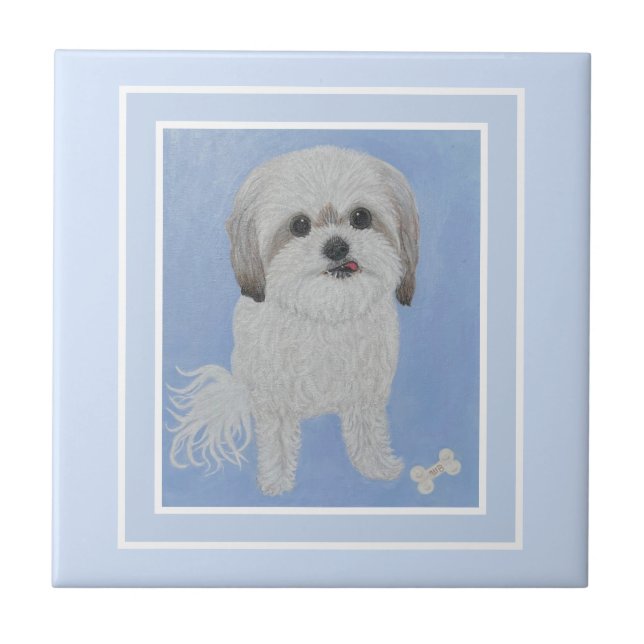 Retrato De Malshi Con Azulejos De Cerámica Ósea (Frente)