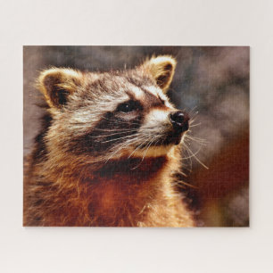 Retrato de mapache, rompecabezas