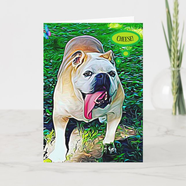 Retrato de mascota de bulldog feliz de queso (Anverso)