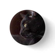 Retrato de mi niño, botón Charlie