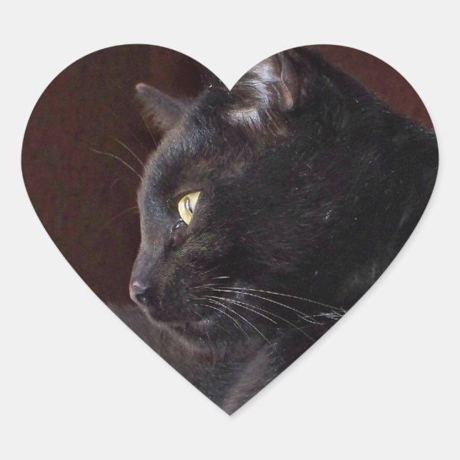 Retrato de mi niño, Pegatina del corazón de Charli (Anverso)