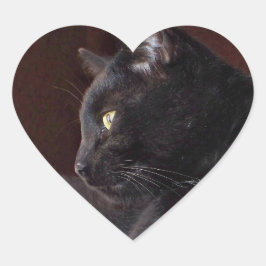 Retrato de mi niño, Pegatina del corazón de Charli