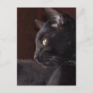 Retrato de mi niño, tarjeta postal Charlie