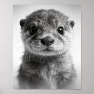Retrato de Nutria Bebé Arte de Pared para Guarderí