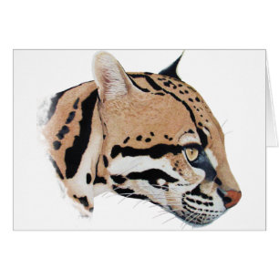 Retrato de Ocelot