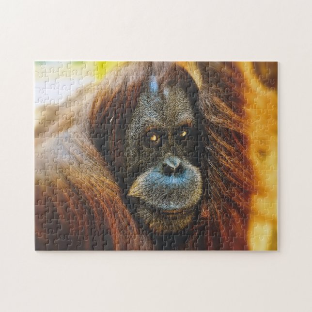 Retrato de Orangután, rompecabezas (Horizontal)