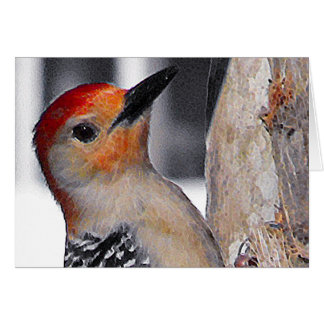 Retrato de pájaro carpintero