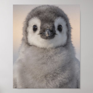 Retrato de pingüino bebé Arte dulce para pared de