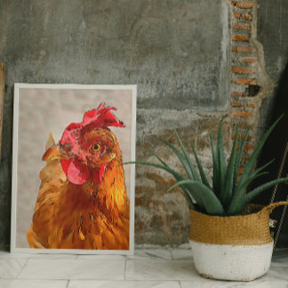 Retrato de pollo de corral Arte de contorno negro