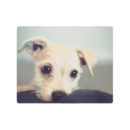 Retrato de portero cúrito fotografía arte mural Me