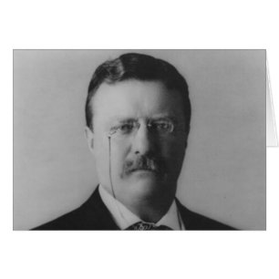 Retrato de Theodore Roosevelt
