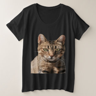 Retrato De Un Gato De Tabby Cuto Con Contacto Ocul