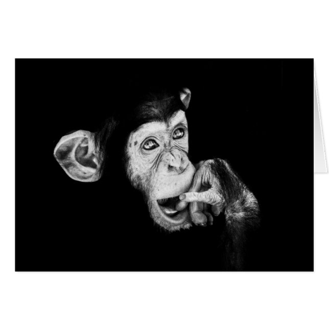 Retrato de un pensador chimpancé (Anverso (Horizontal))