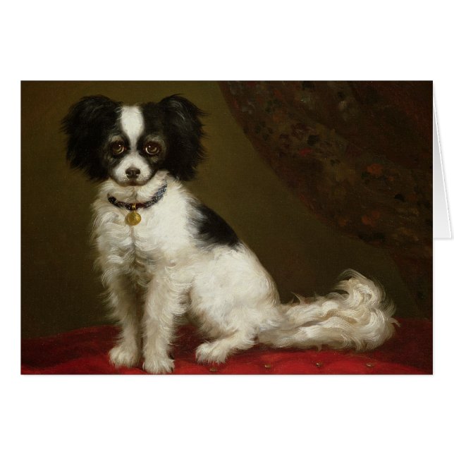 Retrato de un perro de aguas (Anverso (Horizontal))