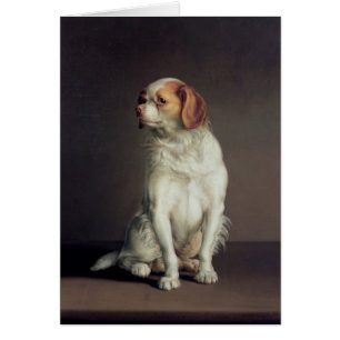 Retrato de un perro de aguas de rey Charles