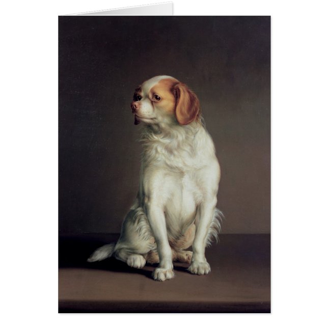 Retrato de un perro de aguas de rey Charles (Frente)