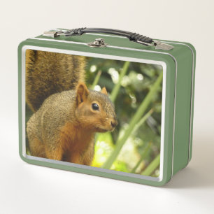 Retrato de una ardilla Fotografía de animales de l