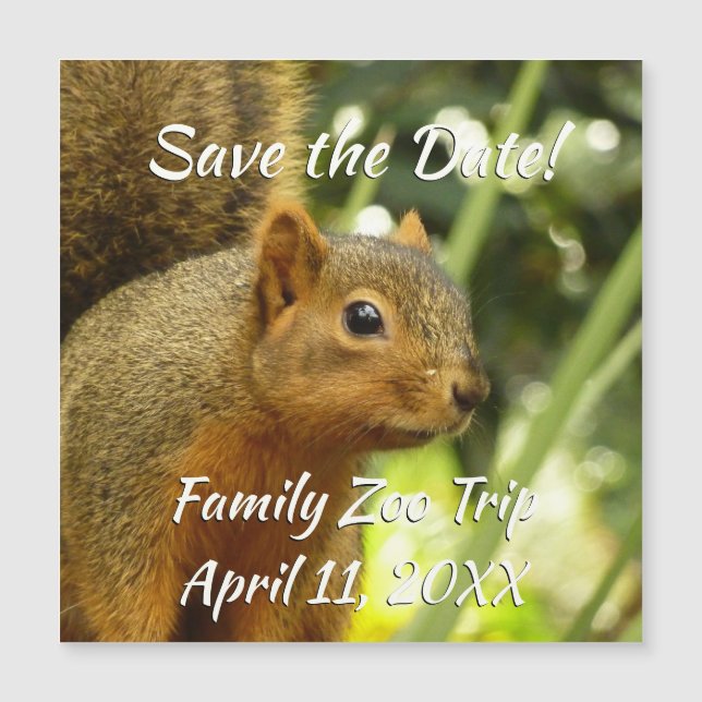 Retrato de una fotografía animal de la naturaleza  (Anverso)