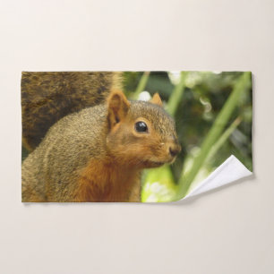 Retrato de una fotografía animal de la naturaleza 