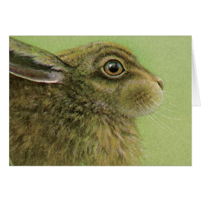 Retrato de una pintura acrílica de Conejo (Anverso (Horizontal))