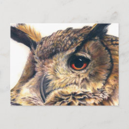 Retrato de una postal de búho águila