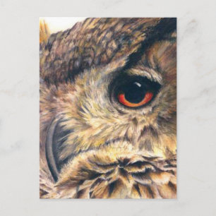 Retrato de una postal de búho águila