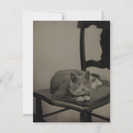 Retrato de una postal de fotografía de época de un