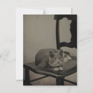 Retrato de una postal de fotografía de época de un