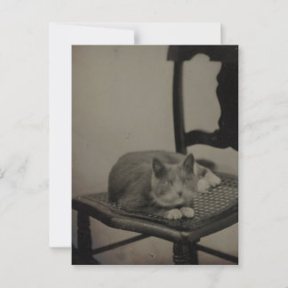 Retrato de una postal de fotografía de época de un