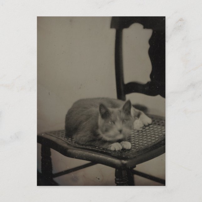 Retrato de una postal de fotografía de época de un (Anverso)