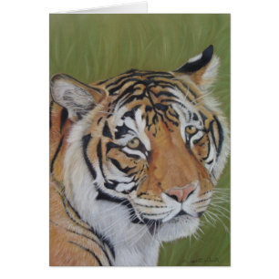 retrato de vida salvaje de tigre gato grande