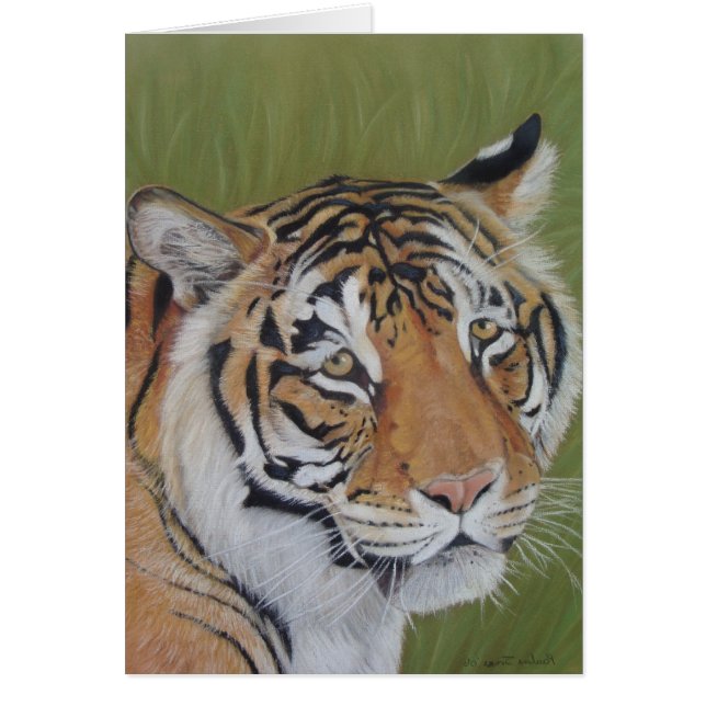 retrato de vida salvaje de tigre gato grande (Frente)