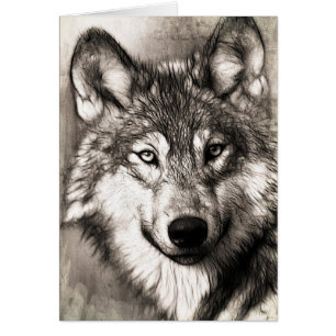 Retrato de Wolf