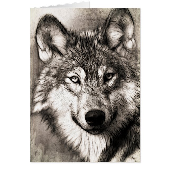 Retrato de Wolf (Frente)