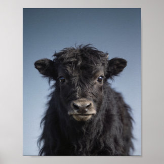 Retrato de Yak Bebé - Arte de Pared de Animal de G