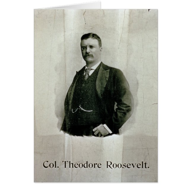 Retrato del Coronel Theodore Roosevelt (litho) (Frente)