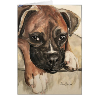 Retrato del mascota - boxeador