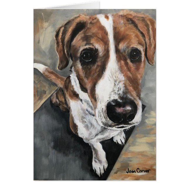 Retrato del mascota - raza mezclada (Frente)