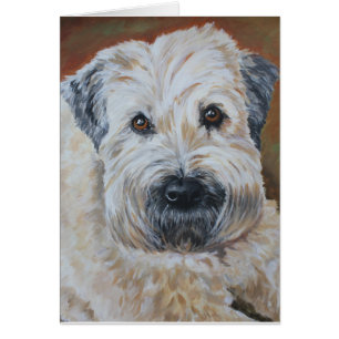 Retrato del mascota - Terrier de trigo