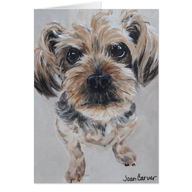 Retrato del mascota - Yorkshire Terrier (Frente)