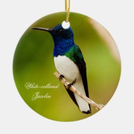 Retrato del ornamento de la ronda de contemplación