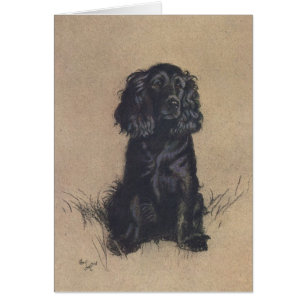 Retrato del vintage de cocker spaniel,