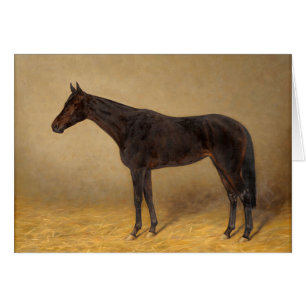 Retrato del vintage de un caballo hermoso,