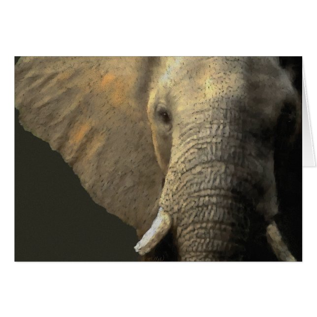 Retrato elefante (Anverso (Horizontal))
