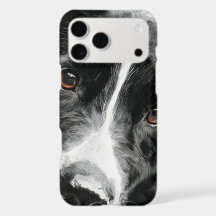retrato en acuarela de border collie