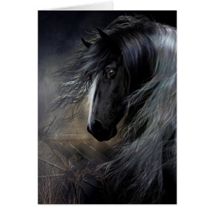 Retrato gitano de Vanner