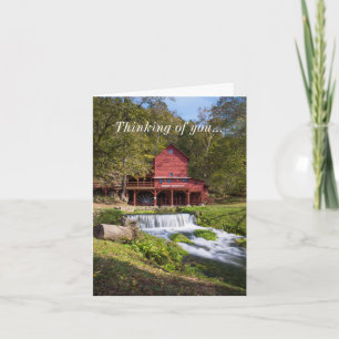 Retrato Hodgson Mill Pensando En Tu Tarjeta