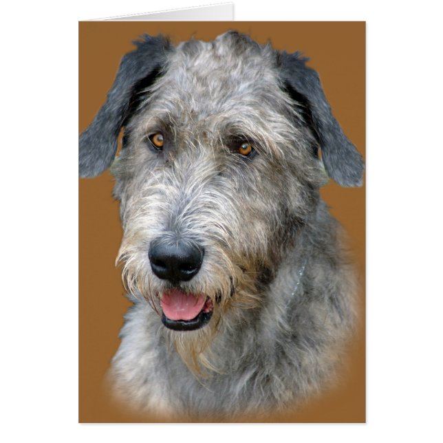 Retrato irlandés de Wolfhound (Frente)