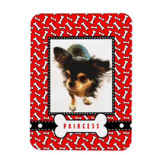 Retrato mascota de imán frigorífico con foto de su